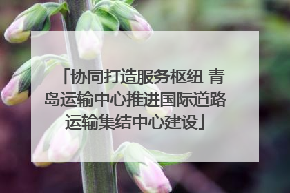 协同打造服务枢纽 青岛运输中心推进国际道路运输集结中心建设