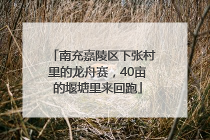 南充嘉陵区下张村里的龙舟赛，40亩的堰塘里来回跑