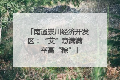 南通崇川经济开发区：“艾”意满满 一举高“粽”