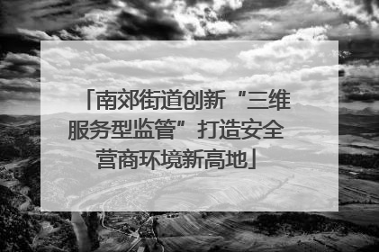南郊街道创新“三维服务型监管”打造安全营商环境新高地
