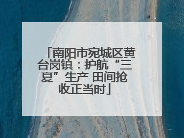 南阳市宛城区黄台岗镇：护航“三夏”生产 田间抢收正当时