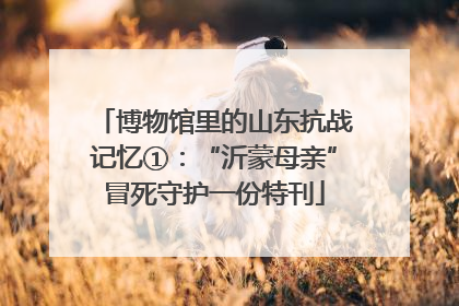 博物馆里的山东抗战记忆①：“沂蒙母亲”冒死守护一份特刊