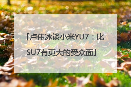 卢伟冰谈小米YU7：比SU7有更大的受众面