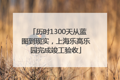 历时1300天从蓝图到现实，上海乐高乐园完成竣工验收