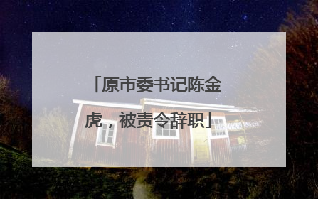 原市委书记陈金虎，被责令辞职