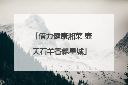 借力健康湘菜 壶天石羊香飘星城