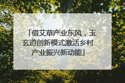 借艾草产业东风，玉玄道创新模式激活乡村产业振兴新动能