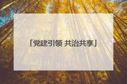党建引领 共治共享