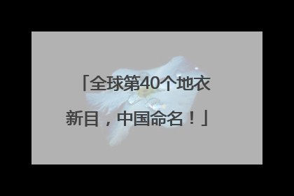 全球第40个地衣新目，中国命名！