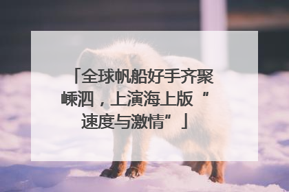 全球帆船好手齐聚嵊泗，上演海上版“速度与激情”
