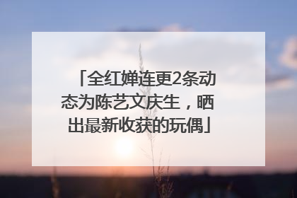 全红婵连更2条动态为陈艺文庆生，晒出最新收获的玩偶
