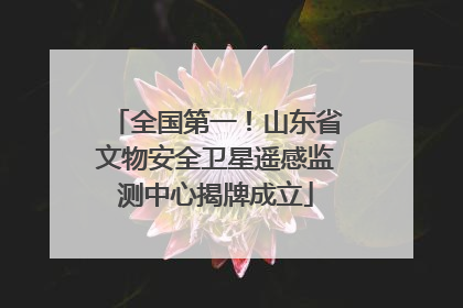 全国第一！山东省文物安全卫星遥感监测中心揭牌成立