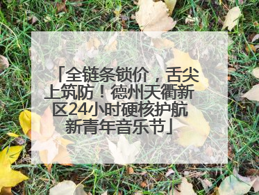 全链条锁价，舌尖上筑防！德州天衢新区24小时硬核护航新青年音乐节