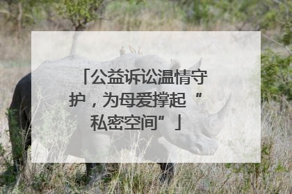公益诉讼温情守护，为母爱撑起“私密空间”