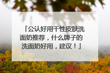 公认好用干性皮肤洗面奶推荐，什么牌子的洗面奶好用，建议！