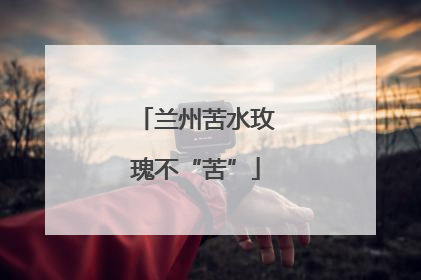 兰州苦水玫瑰不“苦”