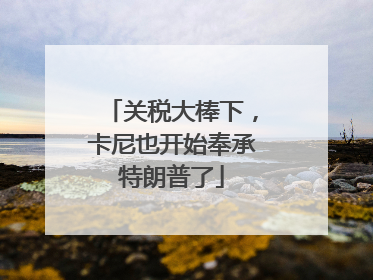 关税大棒下，卡尼也开始奉承特朗普了