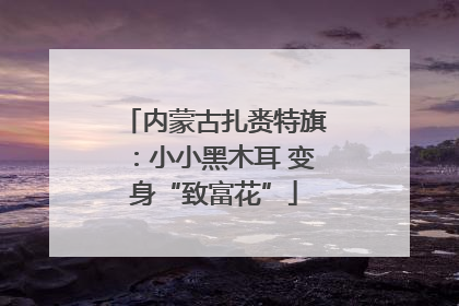 内蒙古扎赉特旗：小小黑木耳 变身“致富花”