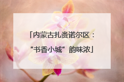 内蒙古扎赉诺尔区：“书香小城”韵味浓