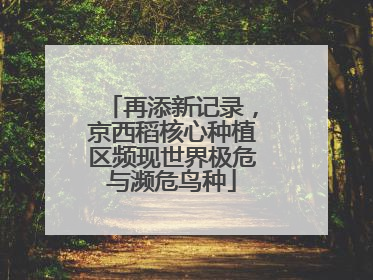 再添新记录，京西稻核心种植区频现世界极危与濒危鸟种