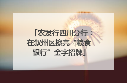 农发行四川分行：在叙州区擦亮“粮食银行”金字招牌