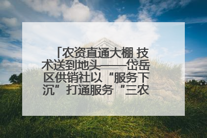 农资直通大棚 技术送到地头——岱岳区供销社以“服务下沉”打通服务“三农”最后一公里