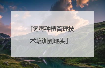 冬枣种植管理技术培训到地头
