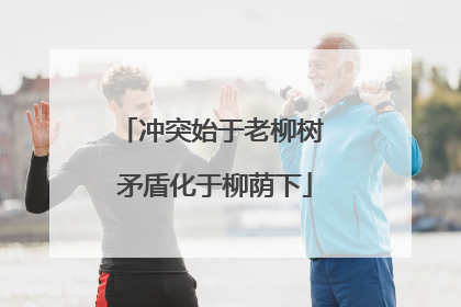 冲突始于老柳树 矛盾化于柳荫下