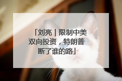 刘亮｜限制中美双向投资，特朗普断了谁的路