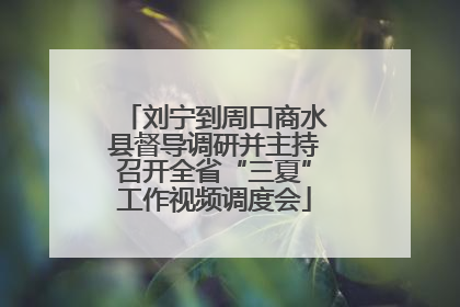 刘宁到周口商水县督导调研并主持召开全省“三夏”工作视频调度会
