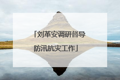 刘革安调研督导防汛抗灾工作