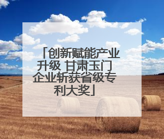 创新赋能产业升级 甘肃玉门企业斩获省级专利大奖