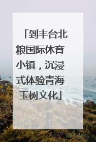 到丰台北粮国际体育小镇，沉浸式体验青海玉树文化