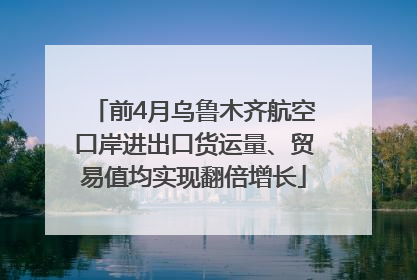前4月乌鲁木齐航空口岸进出口货运量、贸易值均实现翻倍增长