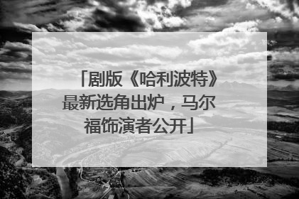 剧版《哈利波特》最新选角出炉，马尔福饰演者公开