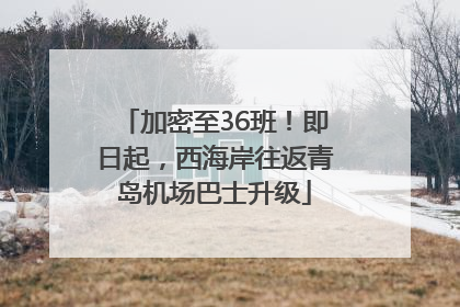 加密至36班！即日起，西海岸往返青岛机场巴士升级