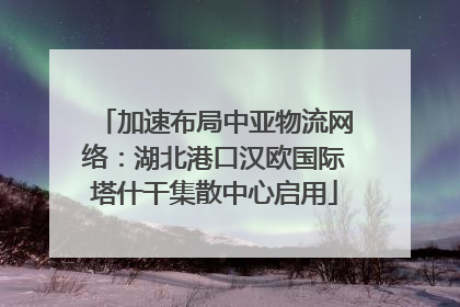 加速布局中亚物流网络：湖北港口汉欧国际塔什干集散中心启用