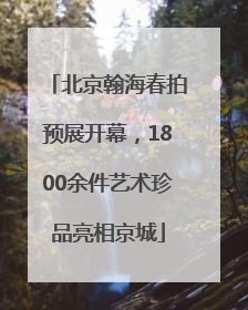 北京翰海春拍预展开幕，1800余件艺术珍品亮相京城