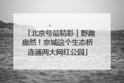 北京号最精彩｜野趣盎然！京城这个生态桥连通两大网红公园