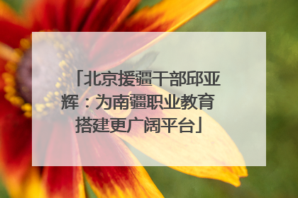 北京援疆干部邱亚辉：为南疆职业教育搭建更广阔平台