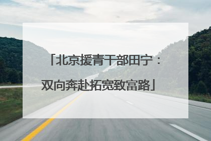 北京援青干部田宁：双向奔赴拓宽致富路