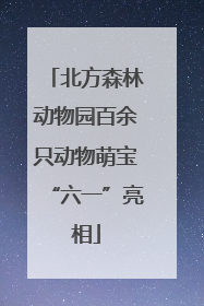 北方森林动物园百余只动物萌宝“六一”亮相