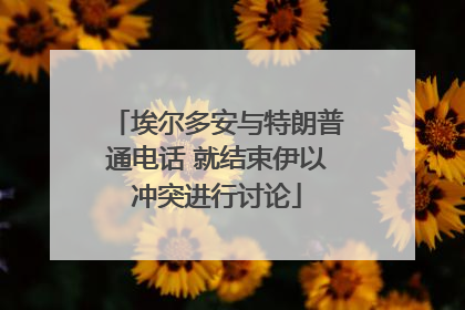 埃尔多安与特朗普通电话 就结束伊以冲突进行讨论