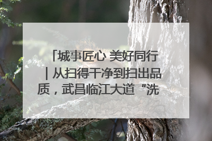城事匠心 美好同行｜从扫得干净到扫出品质，武昌临江大道“洗”出洁净样板路