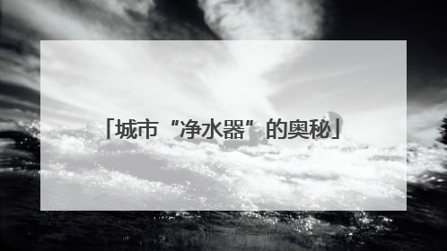 城市“净水器”的奥秘