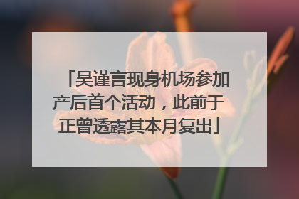 吴谨言现身机场参加产后首个活动，此前于正曾透露其本月复出