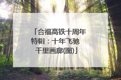 合福高铁十周年特辑：十年飞驰 千里画廊(图)