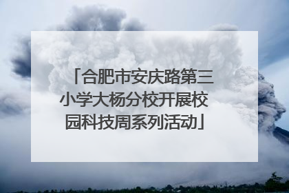 合肥市安庆路第三小学大杨分校开展校园科技周系列活动