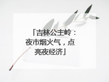 吉林公主岭：夜市烟火气，点亮夜经济