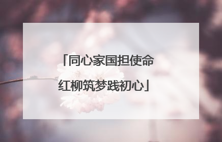 同心家国担使命 红柳筑梦践初心